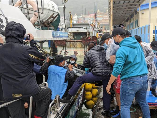 在海保署、海巡署、新北市動保處、中華鯨豚協會、基隆市海洋及農漁發展科以及鉅隆船隊等協力下，16日上午發現的4隻擱淺糙齒海豚，下午緊急由八斗子出海進行野放。（張志康攝）