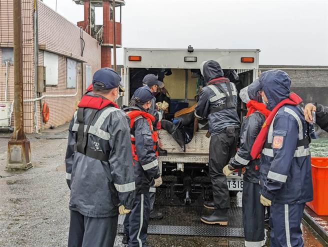 今日清晨6時許，新北市石門出現4隻活體海豚擱淺，經確認，4隻海豚健康狀況良好，下午運往基隆外海野放。（張志康攝）