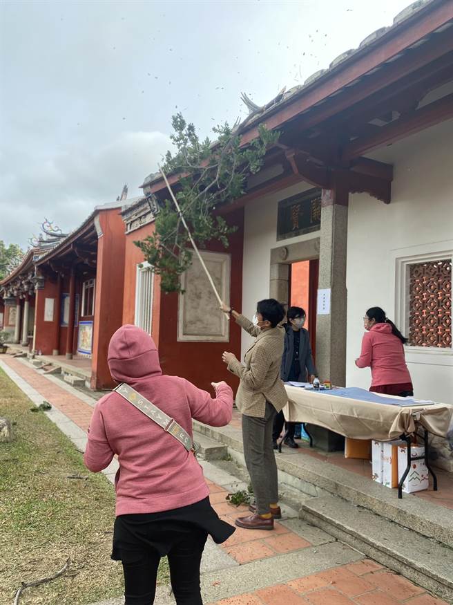 国定古蹟台南孔庙明伦堂上午发生雨豆树的树枝断掉，刚好砸中屋瓦，瓦片掉落地上。(曹婷婷摄)