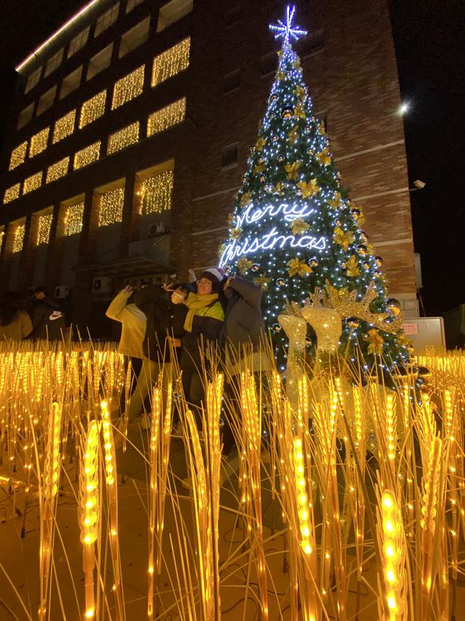 近6公尺高的聖誕樹主燈被LED金穗燈海包圍，民眾爭相拍照。(于家麒攝)