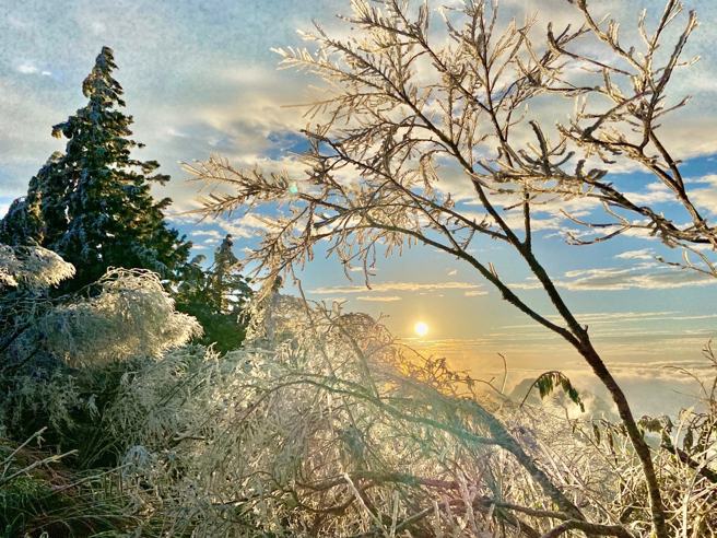 太平山今晨-5度低温，出现雾凇美景。(翻摄自太平山国家森林游乐区FB)