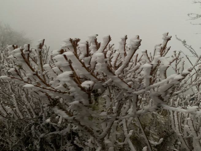 太平山庄周边雾凇和结霜明显。(翻摄自太平山国家森林游乐区FB)