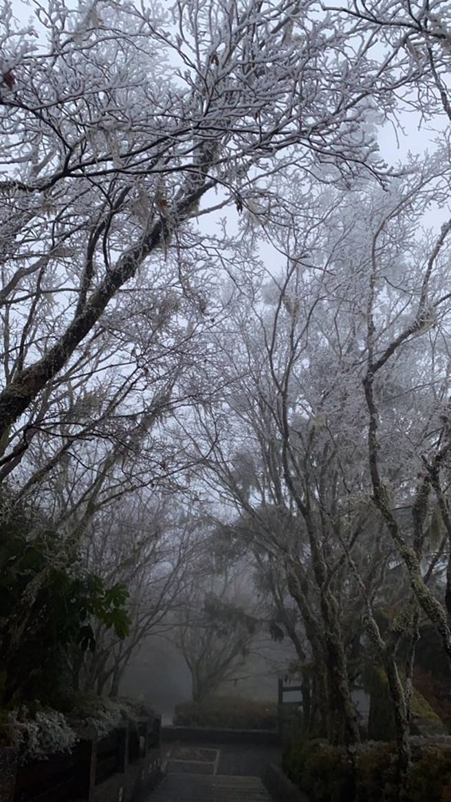 太平山庄周边雾凇和结霜明显。(翻摄自太平山国家森林游乐区FB)