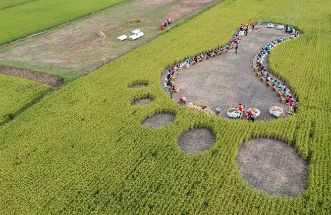 花东纵谷国家风景区管理处超夯游程「餐桌上的部落旅行」，深获游客喜爱，有限名额常遭秒杀，因此，花莲万荣支亚干、玉里织罗、光復太巴塱或台东延平永康等部落明年1至2月将加开游程活动，纵管处则搭配祭出每人可享300元折扣的冬游优惠，截至明年2月28日止。（纵管处提供／罗艺琳花莲传真）