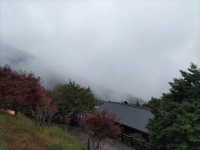 登山客爬宜兰太平山健行失联 消防局成功联繫救援	。（示意图/罗东林管处提供）