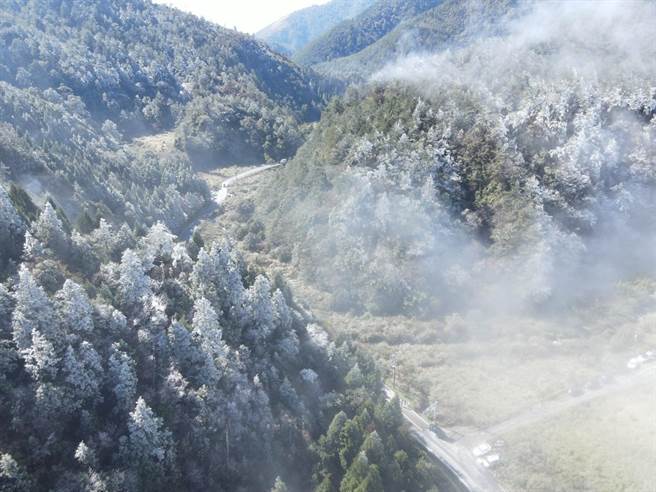 台7甲45K思源哑口出现雾淞景观，山陵被染成一片雪白好浪漫。（武陵农场提供／陈淑娥台中传真）