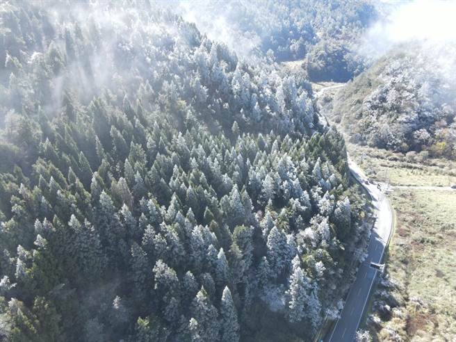 入冬受波寒流来袭，台7甲45K思源哑口出现雾淞景观，吸引不少游客驻足。（武陵农场提供／陈淑娥台中传真）