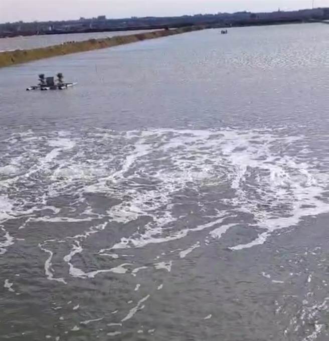 寒流來襲，不只人要保暖，文蛤、虱目魚等也要保暖。(楊福錦提供／吳建輝彰化傳真)