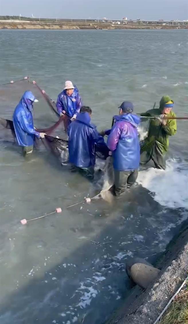 像文蛤池比較淺且不耐寒，漁民會用補水的方式提供水暈，但最近有廠商提供保溫加熱器，免耗電就能提高３至５度的水溫。(楊福錦提供／吳建輝彰化傳真)