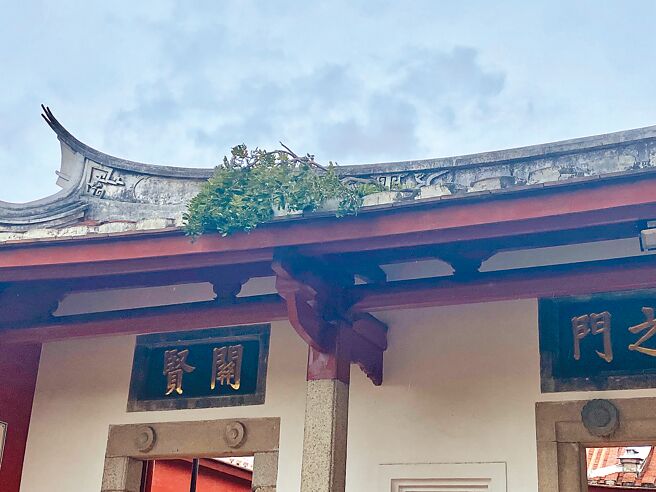 國定古蹟台南孔廟明倫堂17日上午發生雨豆樹的樹枝斷掉，正好砸中屋瓦。（曹婷婷攝）