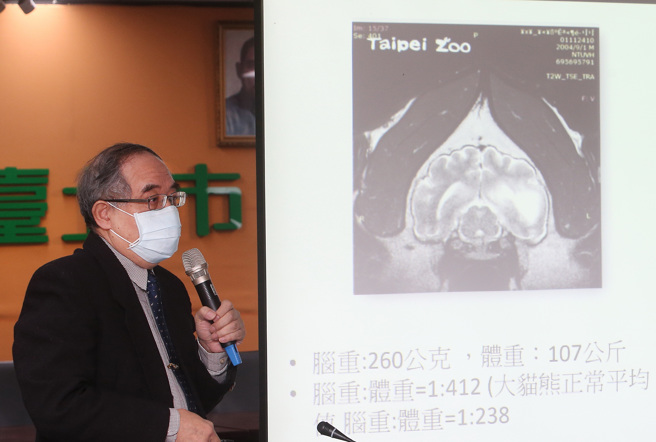 大猫熊「团团」日前因病过世，台北市立动物园19日由负责病理解剖台大兽医专业学院刘振轩（见图）公布病理解剖报告，确认团团大脑罹患「肥胖细胞型星形胶质细胞瘤（Gemistocytic astrocytoma）」，为一种原发性脑瘤，也是造成癫痫的原因。（陈怡诚摄）
