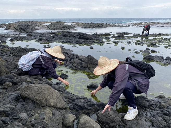 丰滨猫公部落水质乾净、无污染，适合将浒苔「商品化」。(照片/慈济科大提供)
