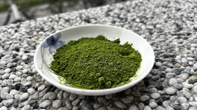 浒苔营养价值高，应用范围广，常被乾燥研磨成粉，作调味料使用。(照片/慈济科大提供)