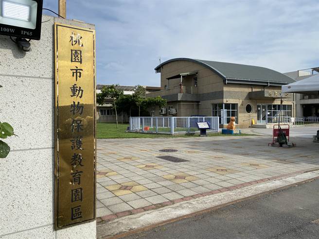 今年桃园市2至3件动保案收容量相当大，造成新屋动保园区满载。（蔡明亘摄）