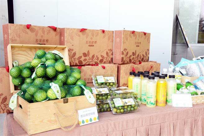 曾以柠檬打入美国电商市场，轩禾合作社惊传倒闭。(本报资料照)