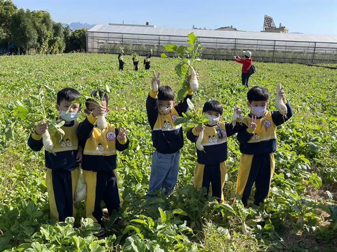 草屯镇幼儿园学童炫耀他们的战利品，直呼拔萝卜很好玩，将带回家请阿嬷或妈妈煮萝卜汤。（杨静茹摄）