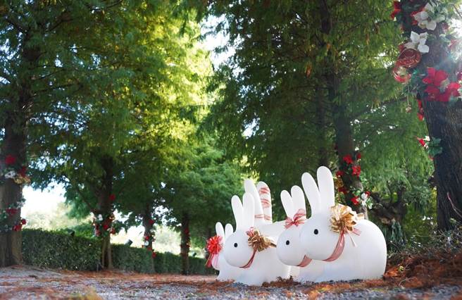 搭配园区精心装饰的圣诞红，成为全台唯一被圣诞树包围的秘境，吸引许多游客、网美打卡朝圣。(成美园提供／吴建辉彰化传真)