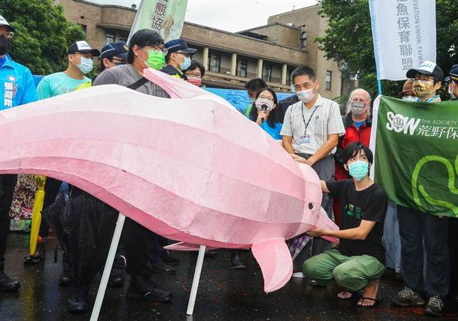 公民团体多次呼吁行政院即刻提出《海洋保育法》送交立法院讨论。（报系资料照）