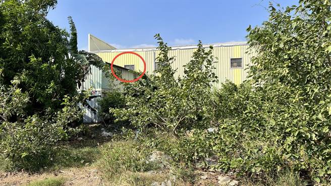 遭不明物体射穿的玻璃窗，位在二楼楼梯间，从外面看过去，位置十分隐蔽。（张毓翎摄）