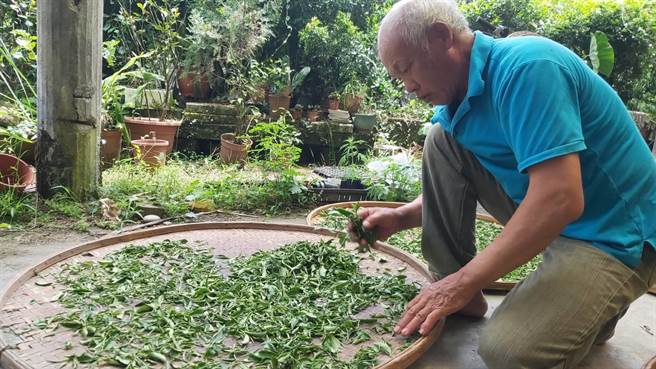新北市坪林区青心茗坊首次参加就获得「美食风味奖」三星奖及二星奖。（农业局提供）