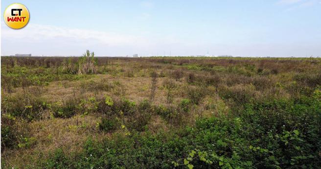 1992年12月台糖人员採收甘蔗惊见无头男尸，骇人命案才曝光，由于甘蔗园周围仅一条产业道路加上位置偏僻，警方怀疑凶手对地形相当了解。（示意图／方万民摄）