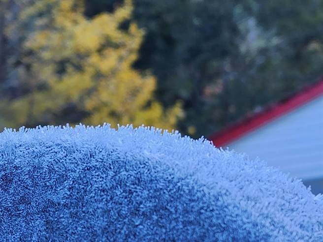 武陵农场今天早上出现负1.5度的低温，车顶结冰形成美丽景象。（武陵农场提供）