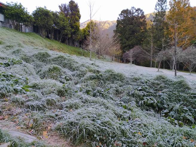 寒流一波接一波，武陵农场今天早上出现负1.5度的低温。（武陵农场提供）