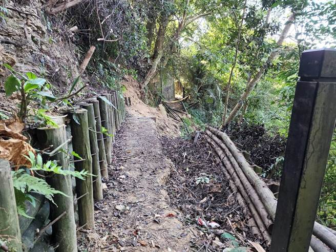中市和平区埋伏坪登山步道今年5、6月因连日豪雨造成中断。（台中市观光旅游局提供）
