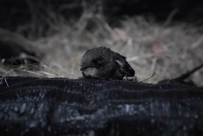 示意图。（本报资料照）