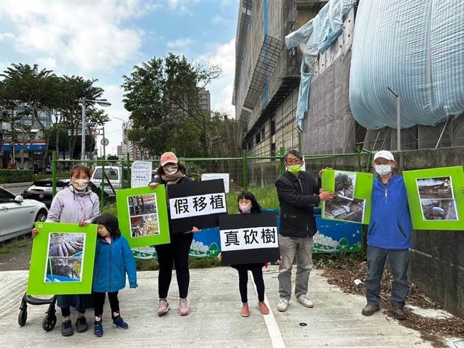 护树团体台湾树人会等环保团体今指控，新北市土城「沛陂段385地号」公有地、三民路数十棵大树被不当移植，几乎砍头。对此，土地主管机关新北市水利局回应，后续将依财产管理规定追偿损失；景观处回应，已依程序请行为人说明，若违反新北市树木保护自治条例，将处3000元至5万元不等罚锾。（台湾树人会提供）