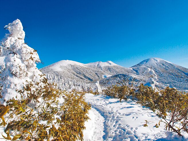 八甲田山霧冰的風景獨特。（雄獅旅遊提供）