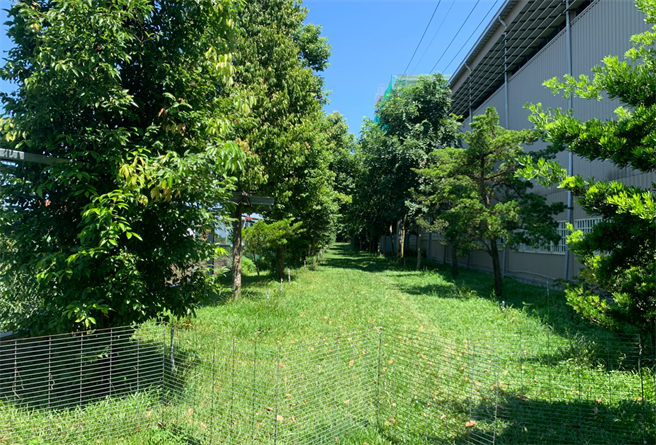 旭台浪板股份有限公司厂区，设置有10米隔离绿带，规画景观种植乔木及灌木。(台中市政府提供)