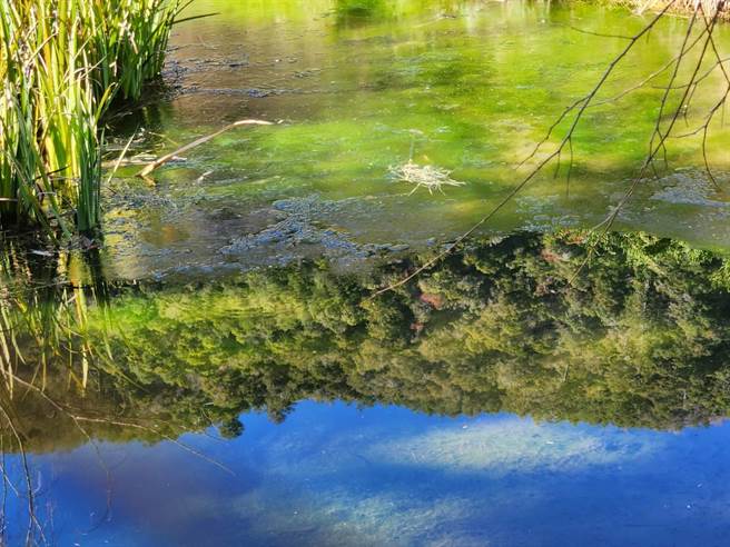 蓝天白云倒映在水面上非常清晰亮丽。（武陵农场提供）