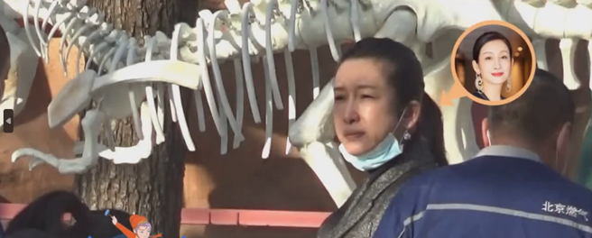 秦海璐脸部丰腴。（图／百度@八圈李元芳）