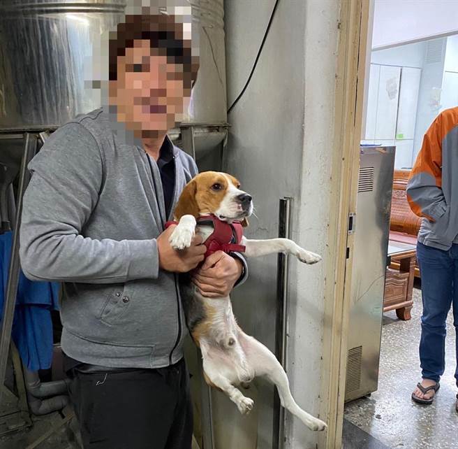 高雄市梓官警方协助走失的米格鲁犬回家。（翻摄照片／林瑞益高雄传真）