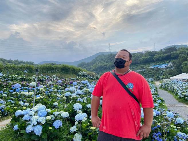 新北辖内知名绣球花园「高家绣球花田」青农高逢谦接手家业后，力求转型，将传统绣球花田打造为知名打卡点。（新北市农业局提供）