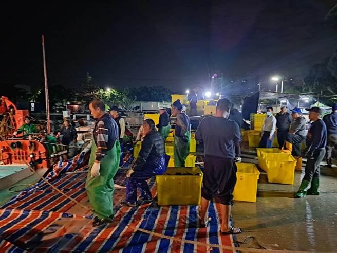 渔民们在兴达港边等待把乌鱼装箱。（茄萣居民吴宗育提供／林瑞益高雄传真）