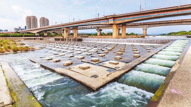 頭前溪隆恩堰河道堰下設有魚道入口，讓原生魚洄游。（羅浚濱攝）