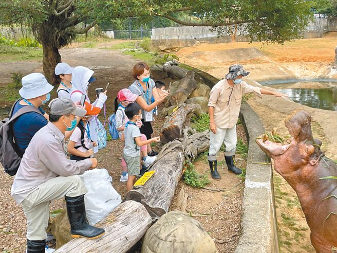 六福村亲子保育冬令营带大小朋友参观平时不对外开放的河马场域。（六福村提供）