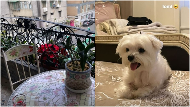 庾恩利在限时动态晒出阳台与小白犬的照片。(图／翻摄自庾恩利IG@sprinkle_my_tinkle)