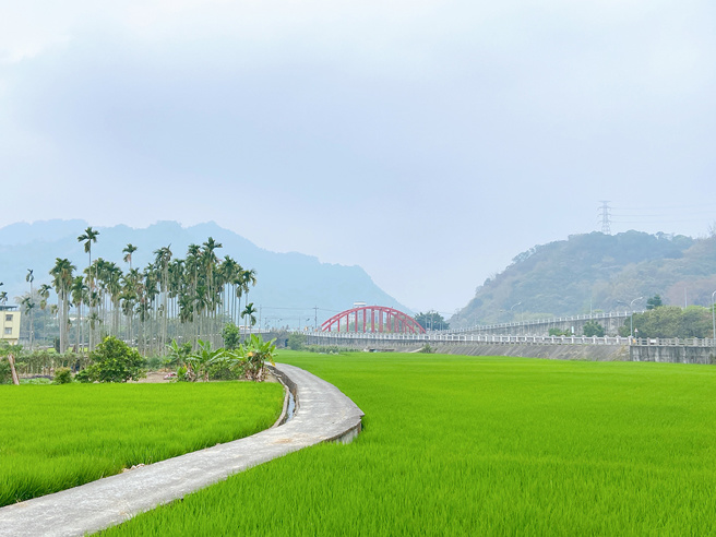 南投集集依山傍水、風景優美，無論漫步、奔跑或騎乘鐵馬穿梭在溪埔地與田畦之間，皆能感受當地風土民情。(圖／勞動力發展署中彰投分署)

