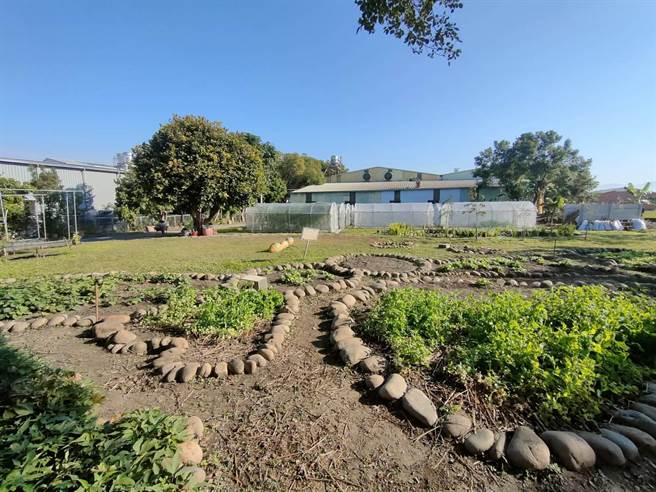 五光社区发展协会总干事徐凤英指出，这块地早期是片荒地，更有蛇、老鼠等生物出入，后和地主租用土地，才打造成「快乐农场」，成为社区的后花园。（潘虹恩摄）