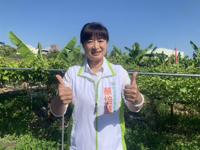 競選南投縣長失利的蔡培慧，可能代表綠營拔劍再戰立委補選。（廖志晃攝）