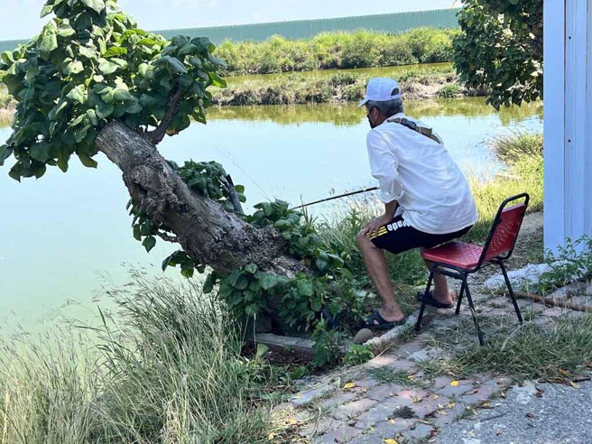 钓鱼。(图／各休閒农业区提供)
