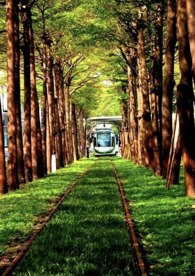 2022年10月轻轨C21-C24路段通车，路段内「龙猫隧道」爆红，吸引许多民眾拍照打卡，并助当月轻轨运量创下新高纪录。(图／高雄市政府捷运工程局提供)
