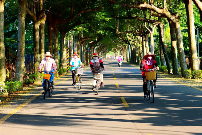 ▲綠色隧道。(圖／屏東縣潮州鎮公所提供)
