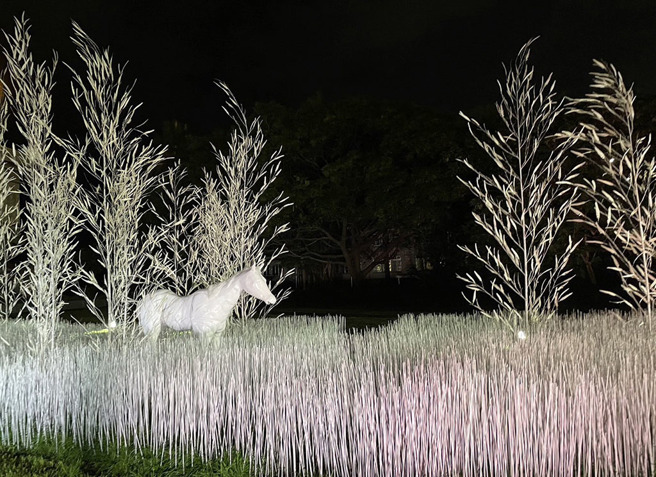 ▲〈粉紅色森林〉朦朧的調性，讓民眾擁有一個飄著粉紅與白色浪漫的聖誕節。(圖／台東縣政府文化處)
