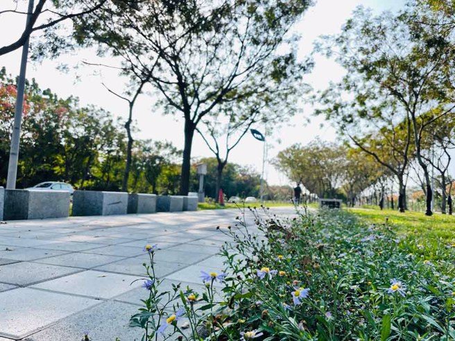 ▲高鐵綠園道成為沿著自然廊道的一條風景道路。(圖／雲林縣政府工務處提供)
