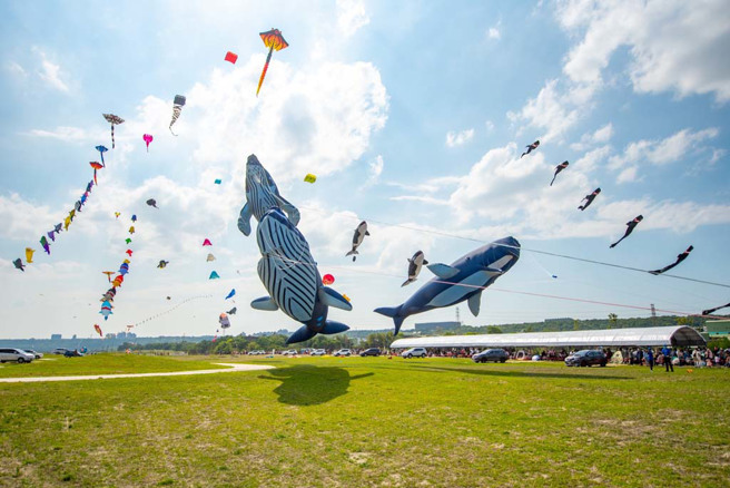 中庄景觀土丘具有絕佳的景觀視野、安全及風力穩定等特色，每年桃園國際風箏節都吸引大批遊客。(圖／桃園市政府水務局)



