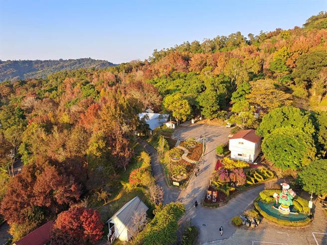 东势林场游乐区推出「悠游森林迎曙光」系列活动。（东势林场提供／陈淑娥台中传真）